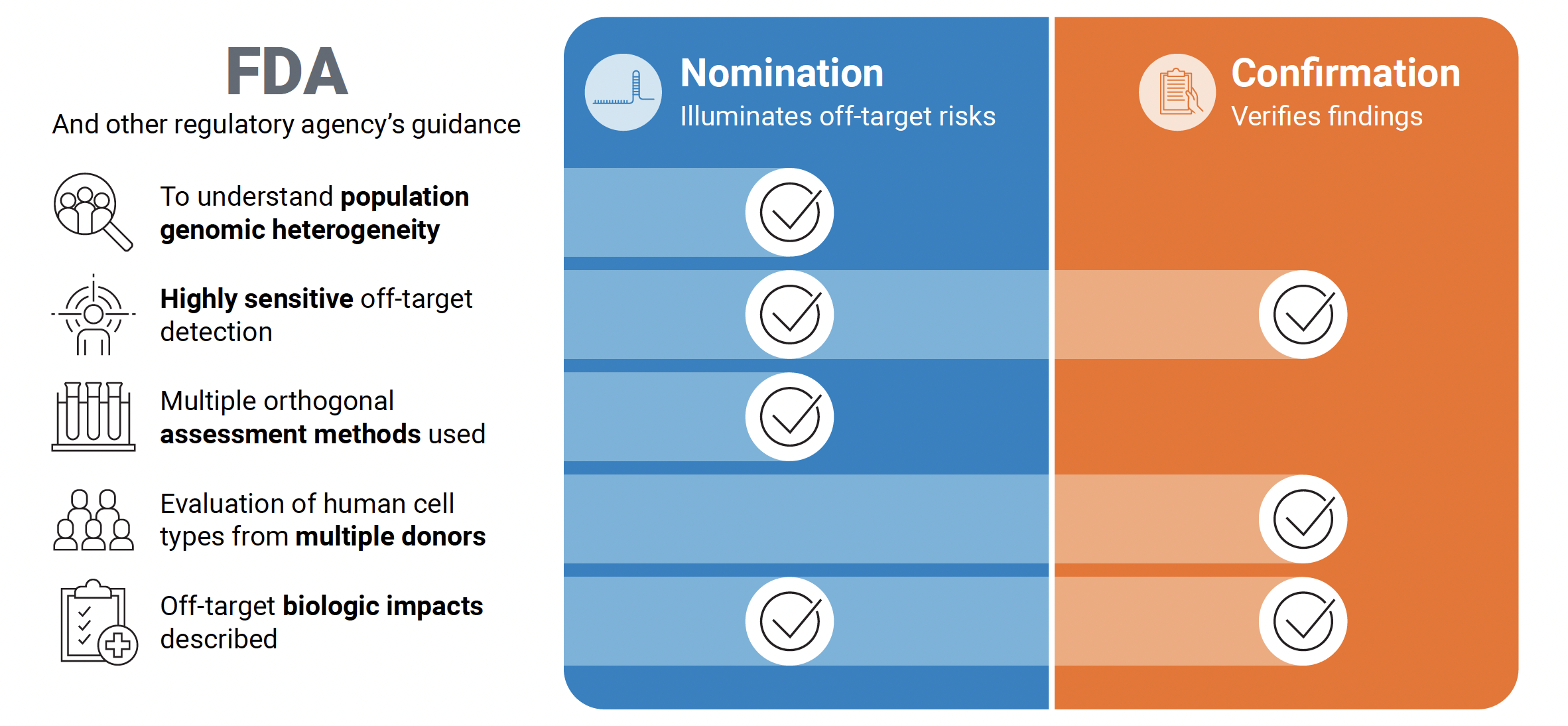 An infographic​ explains the FDA and other regulatory agencies' guidance for assessing off-target risks, detailing requirements for both "Nomination" (illuminating risks) and "Confirmation" (verifying findings) phases, including understanding population genomic heterogeneity, sensitive off-target detection, multiple assessment methods, evaluation of human cell types from multiple donors, and description of off-target biologic impacts.